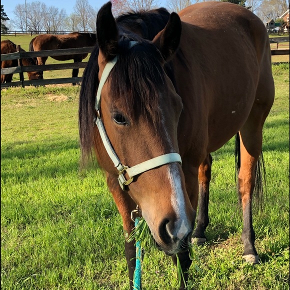 πNew Posh Ambassador as of 10/07/19π - Picture 8 of 8